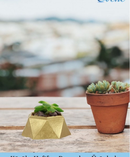 Mini Çiçek Saksı Küçük Sukulent Altın Kaktüs Saksısı Mini Poly 2 Model